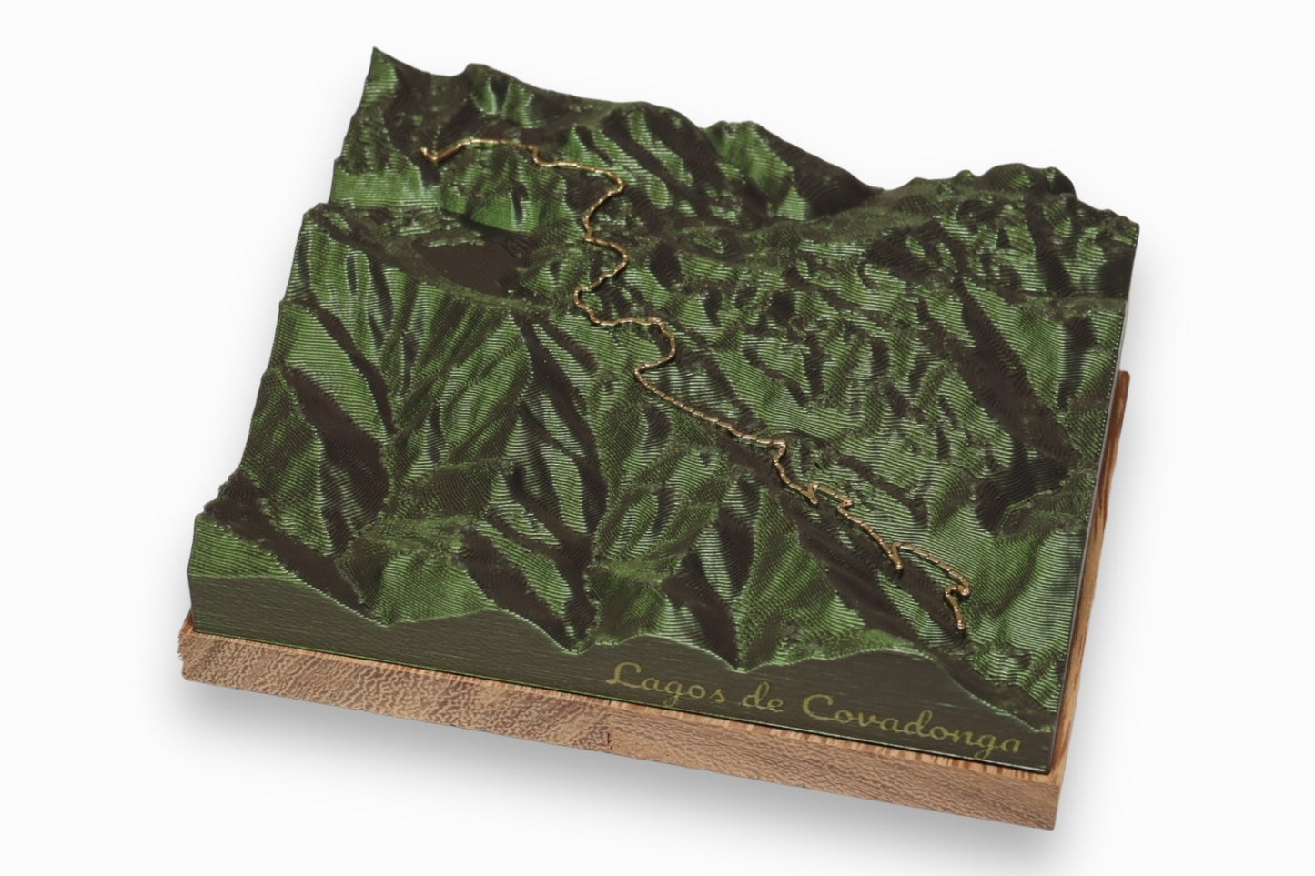 Lagos de Covadonga