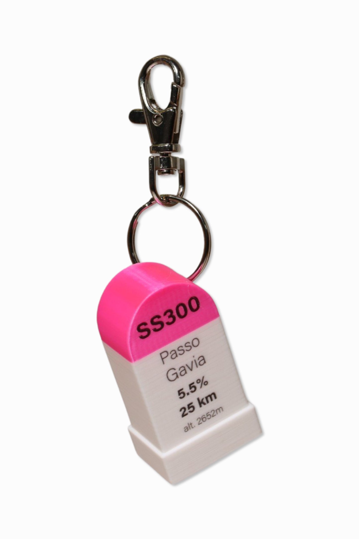 Passo Gavia Keyring