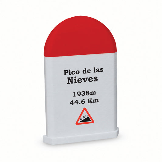 Pico de las Nieves Magnet