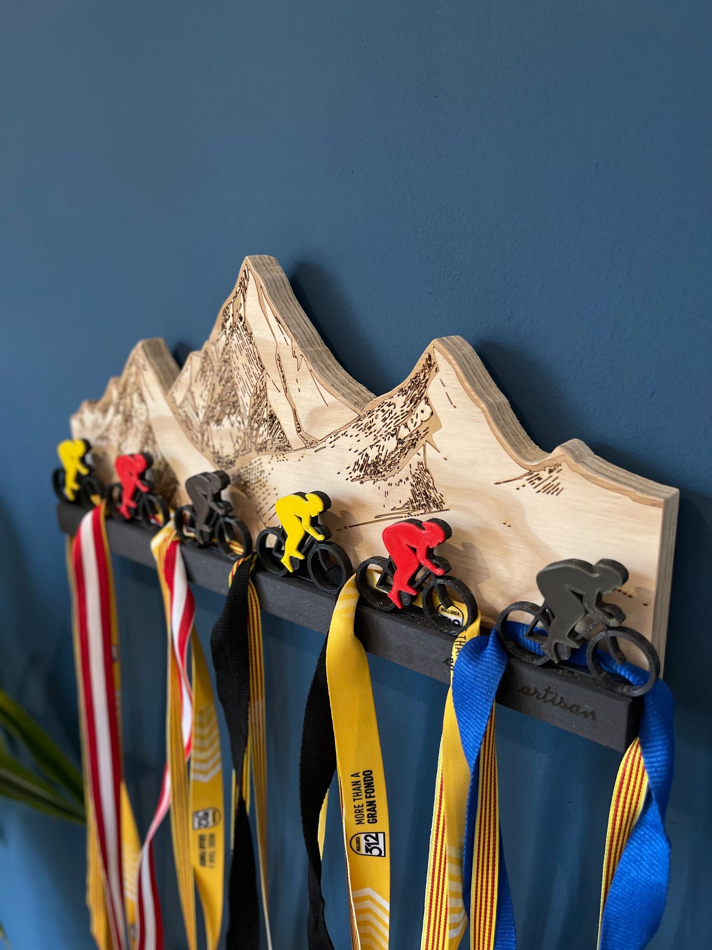 Medal Hanger